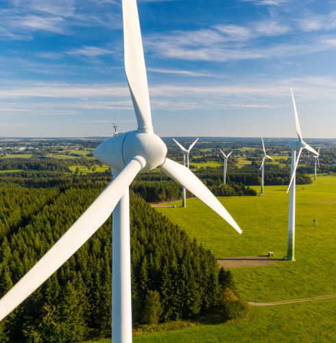 image_/assets/img/about/Windmill.png